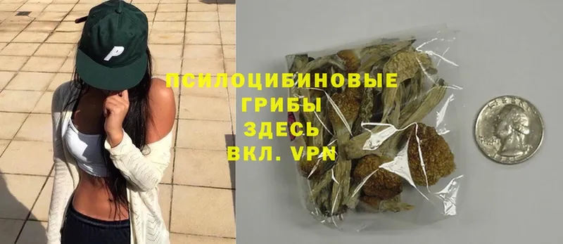 Галлюциногенные грибы MAGIC MUSHROOMS  Нолинск 